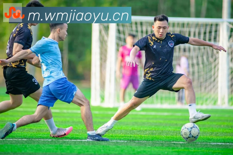 博鱼官网登录入口品牌故事